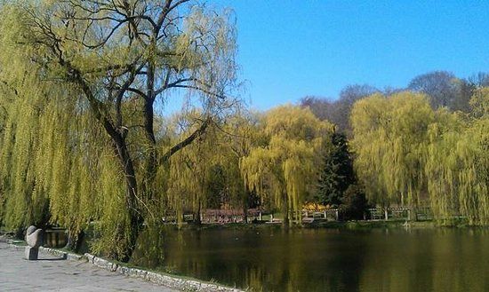 Bazylika Mariacka w Gdańsku